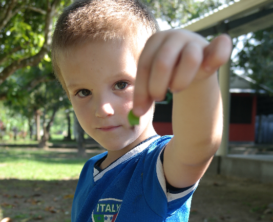 SAM_1287 (2)_edited.jpg
