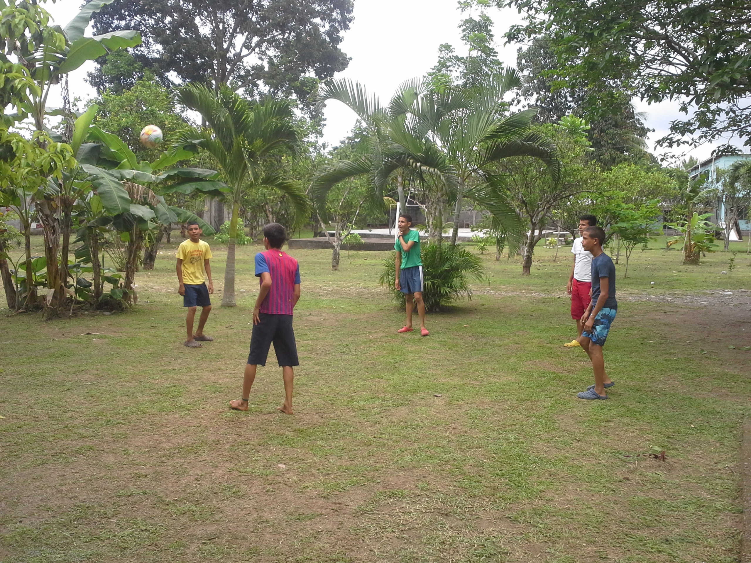 20141029_122657.jpg