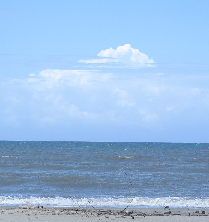 SAM_6213 (2)_edited.jpg