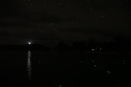 IMG_7929.JPG