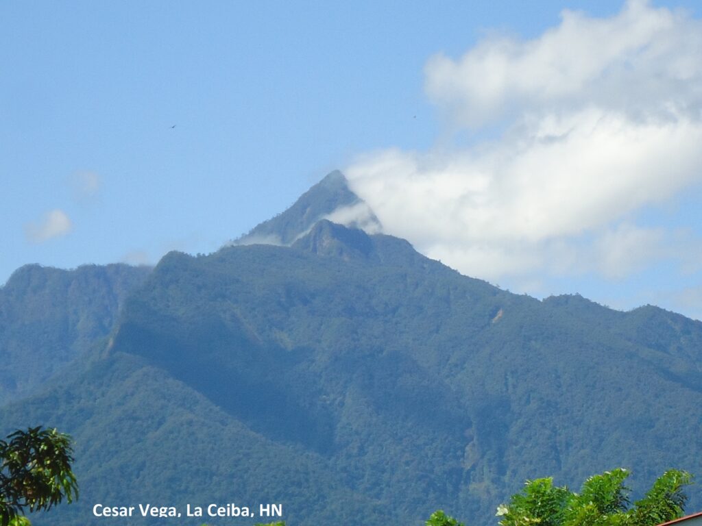 Pico Bonito sett fra La Ceiba i Honduras