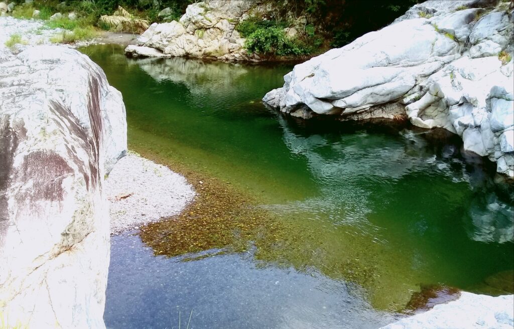 Río Cangrejal i det grønne landskapet ved La Ceiba i Honduras